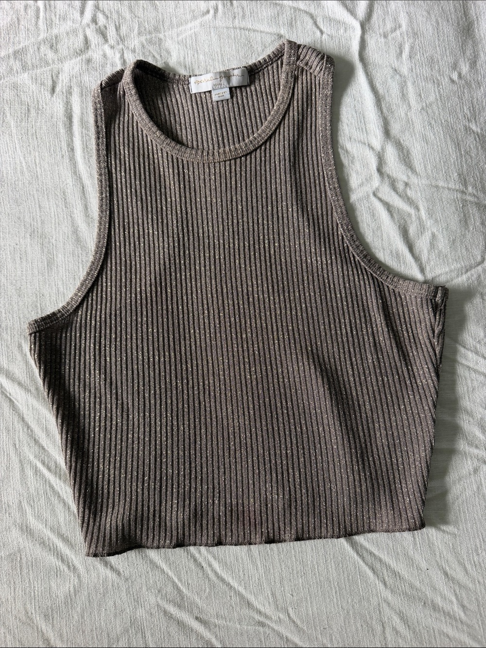 Spiritual Gangster Ribbed Crop Tank in Taupe-Gold Glitter